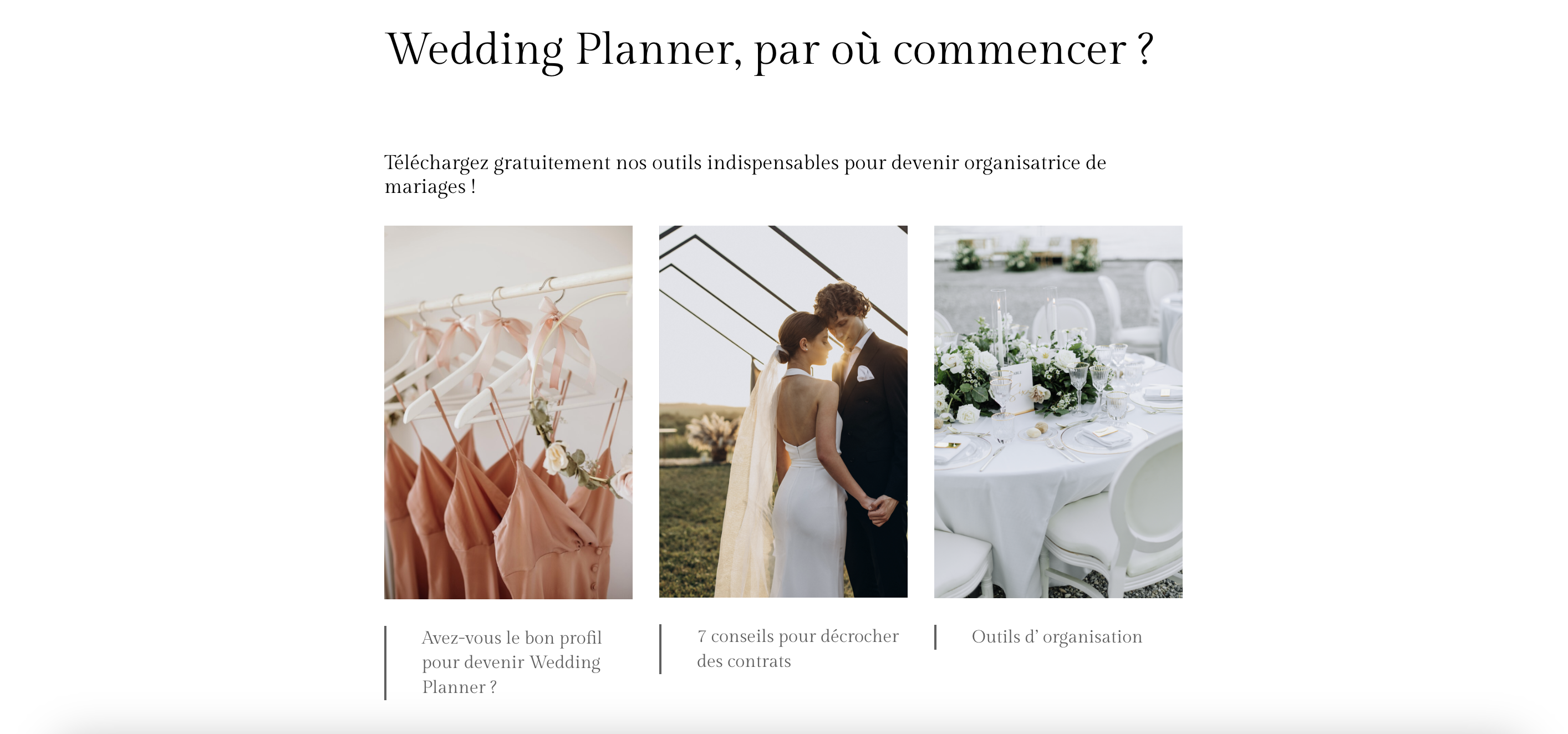 Devenir wedding planner site web